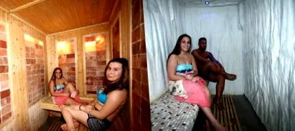 стая солна