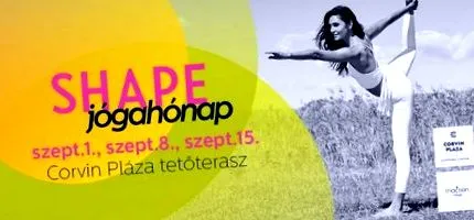 shape