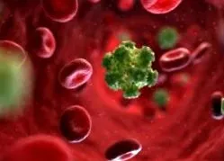 opisthoriasis videó