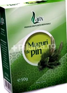tinktúru