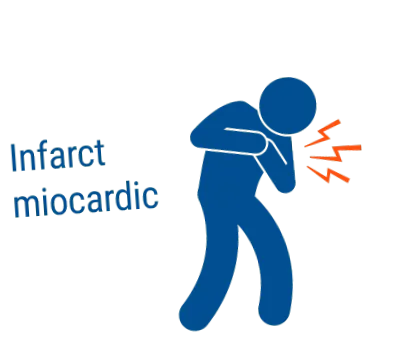 aorta aorta