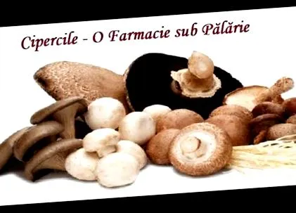 paraziták kezelése