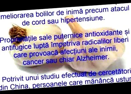 helmint