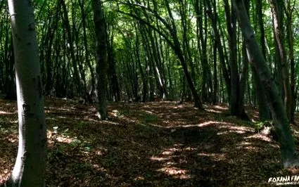 kerékpárral