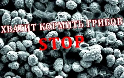 лечение лечение