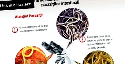 parazitov