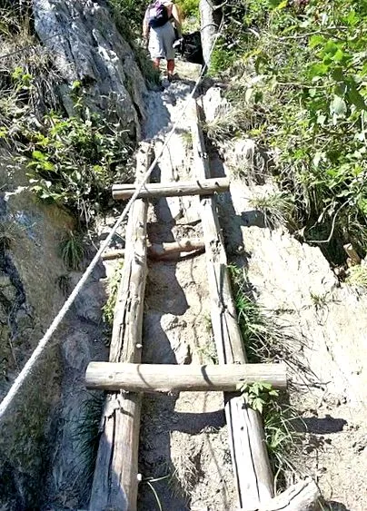 искачете арсени