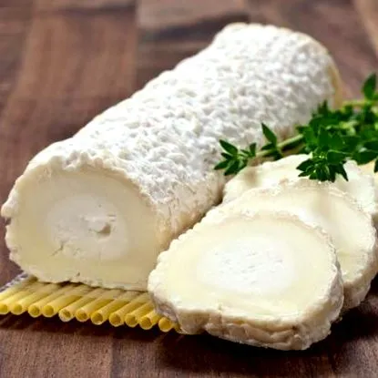 Házi joghurt