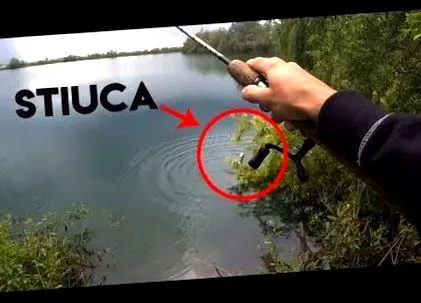 pike