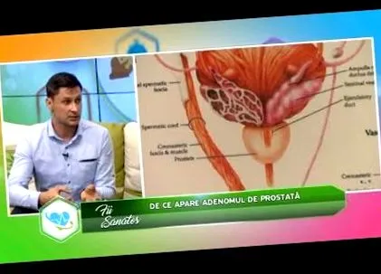 általánosságok patológia