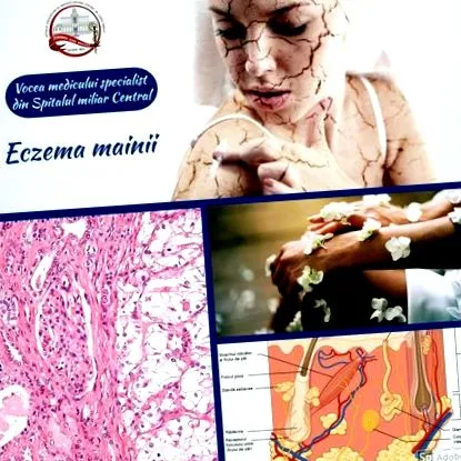 специјалист специјалист