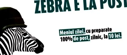 rendszergazda