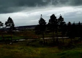 dzsingisz