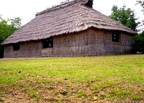 tartalom