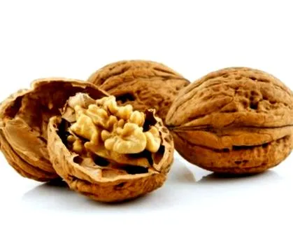 allergia