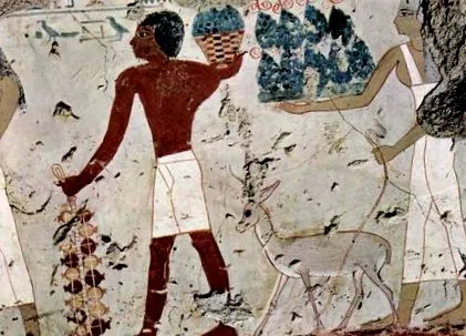 civilizációk