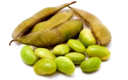 megengedett