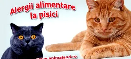 élelmiszerallergia sajtóközlemények