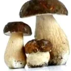 персональний цинком