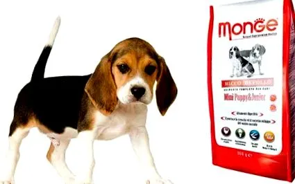 monge