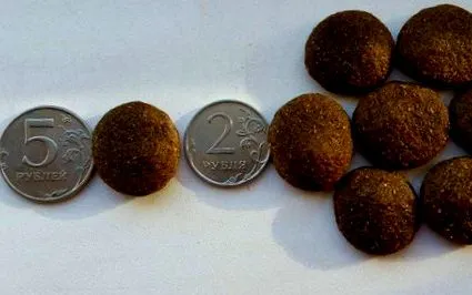 kutyaeledel