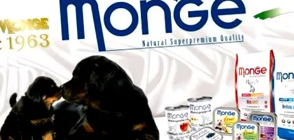 monge