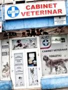 ápolás állatorvosi