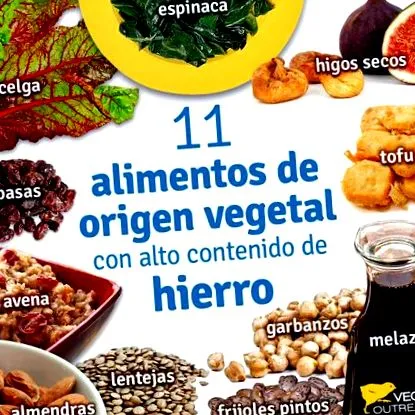 vérszegénység