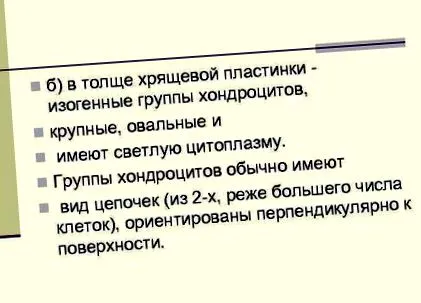 исто така
