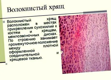 обновување
