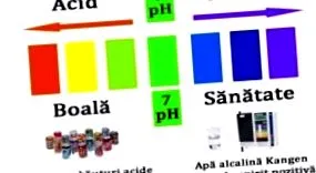 alkalická