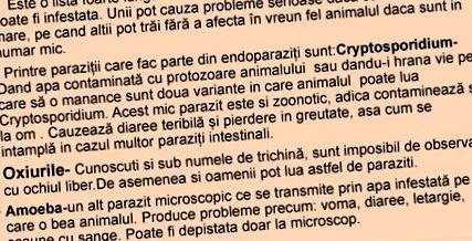 Anthelmintikus példák példák román