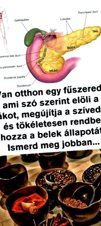 pentru pentru