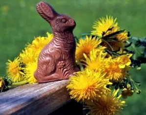 корисни Корисни написи