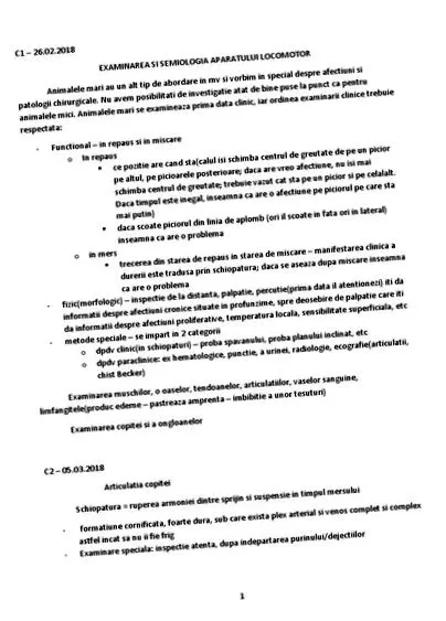 pataízület