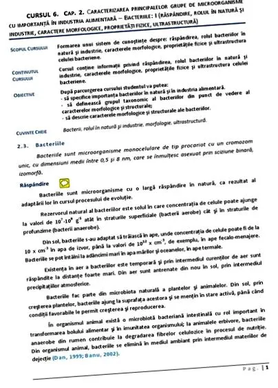 бактерій