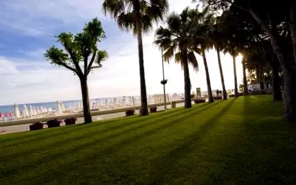 barut