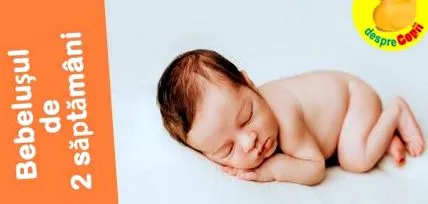 baba