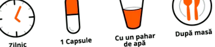 ajánlott napi