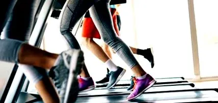 fitness