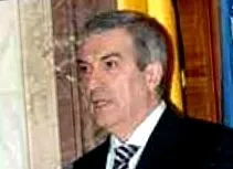 nyulak
