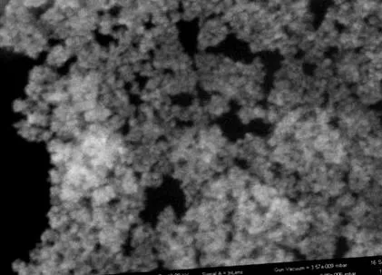 Ábra Víz-lipid