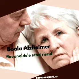 alzheimer betegség