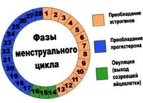 календар