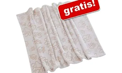 világnapi