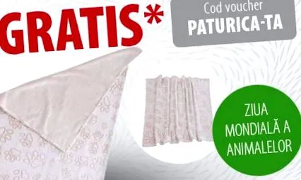 könnyen szállítható