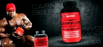 marhahús carnivor