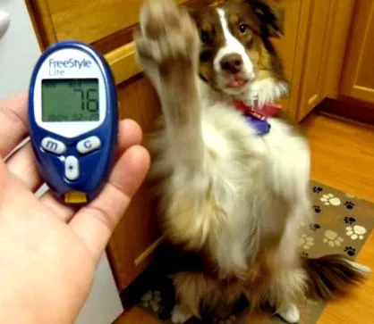 diabetických