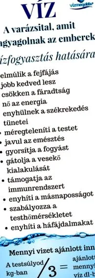 дебелото домашен