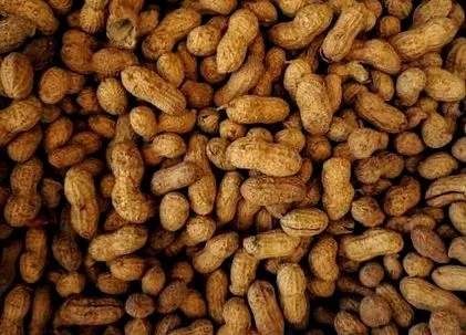 alimentară intoleranța